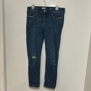 Anthropologie Pilcro Slim Boyfriend Denim Ripped Distressed Jeans Boho Modern